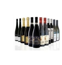 Waitrose Indulgent Christmas Case Of 12