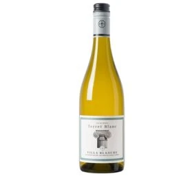 Villa Blanche Terret Blanc